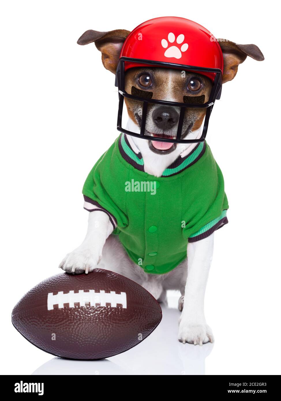 Rugby dog hires stock photography and images Alamy