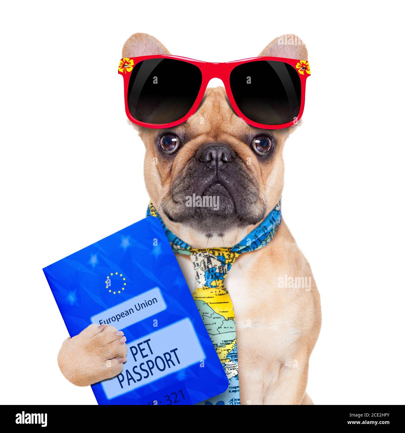 Pet passport hires stock photography and images Alamy