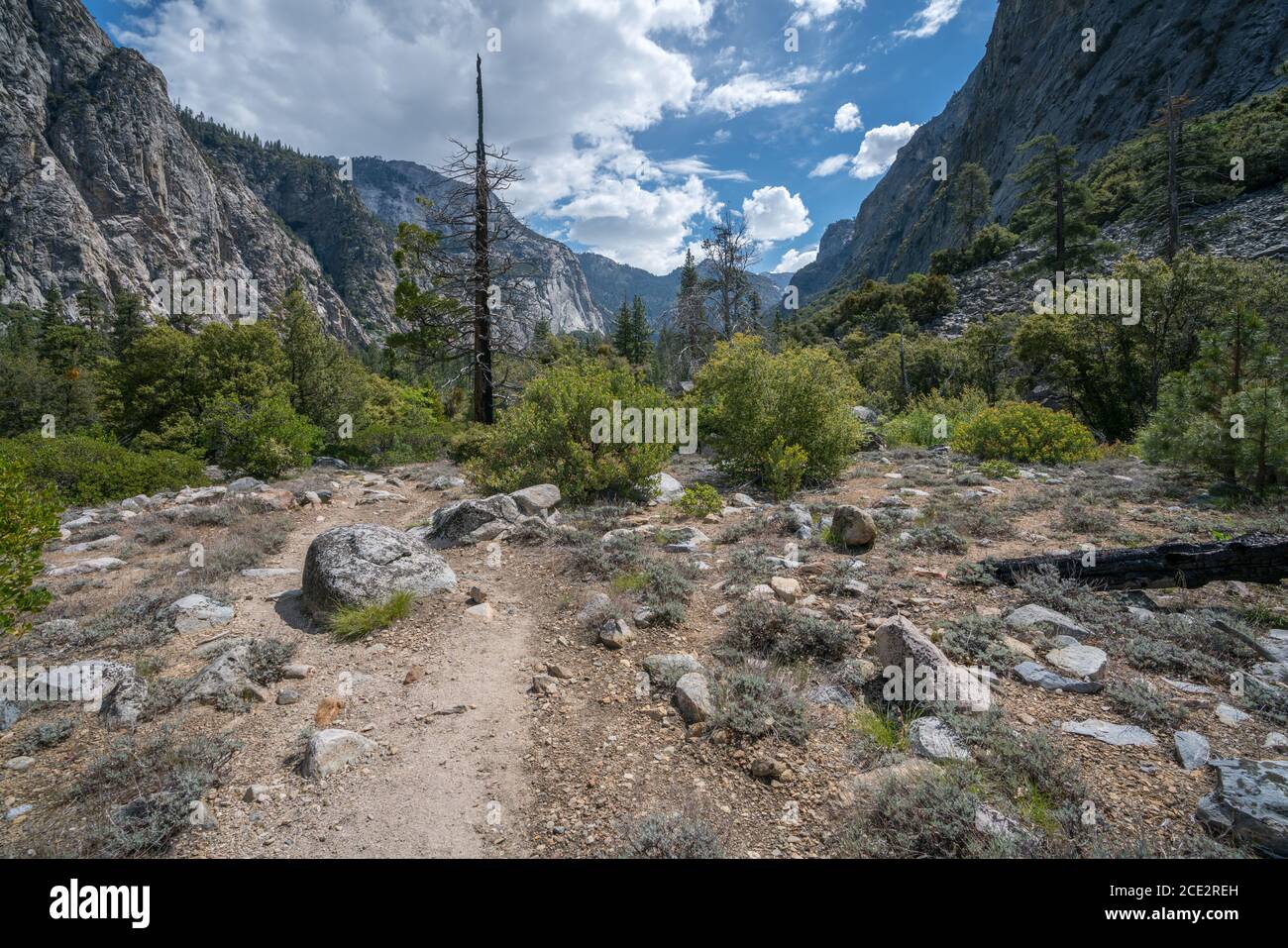zumwalt meadow trail