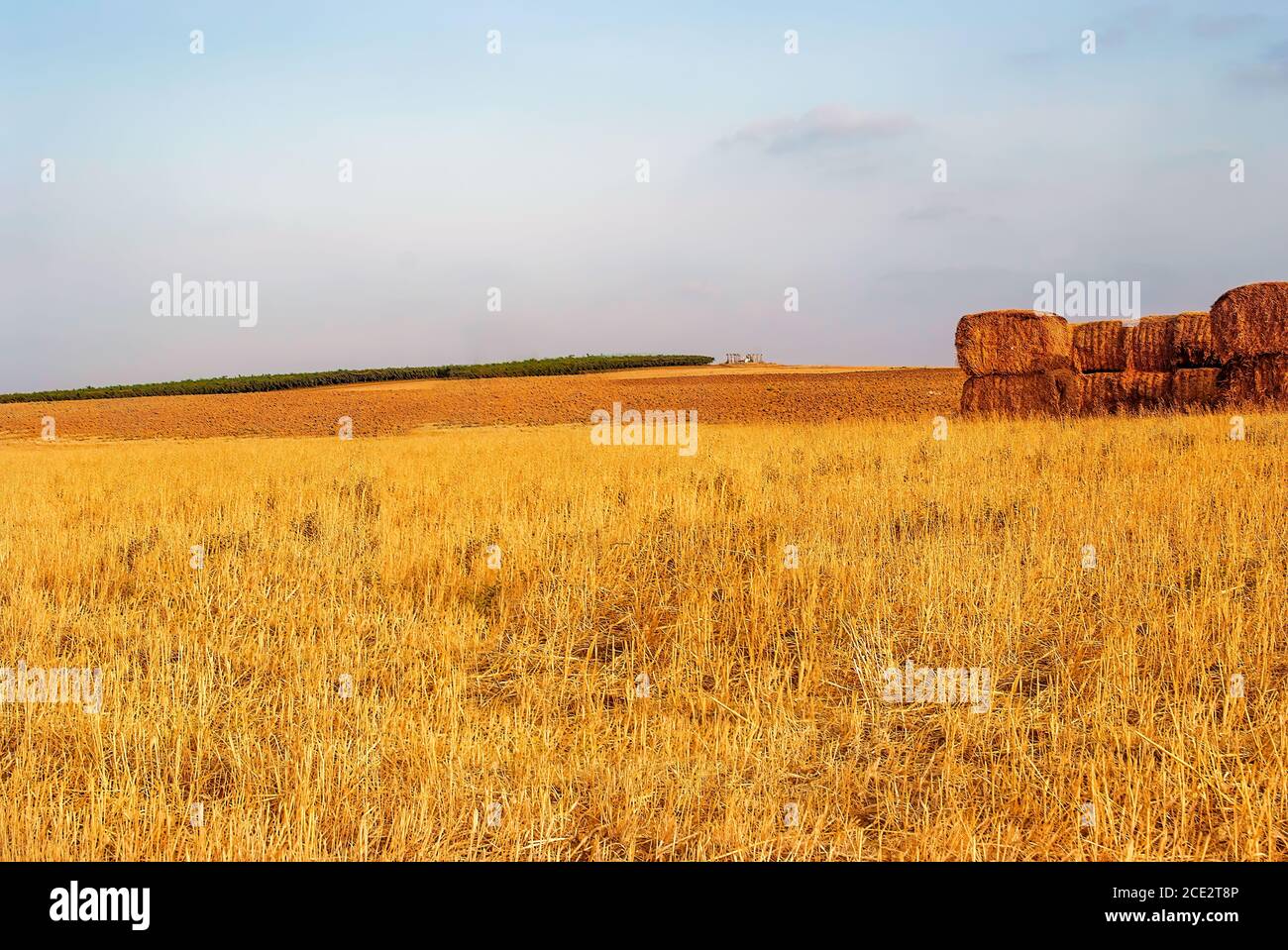 Photo of a man in a field hi-res stock photography and images - Alamy
