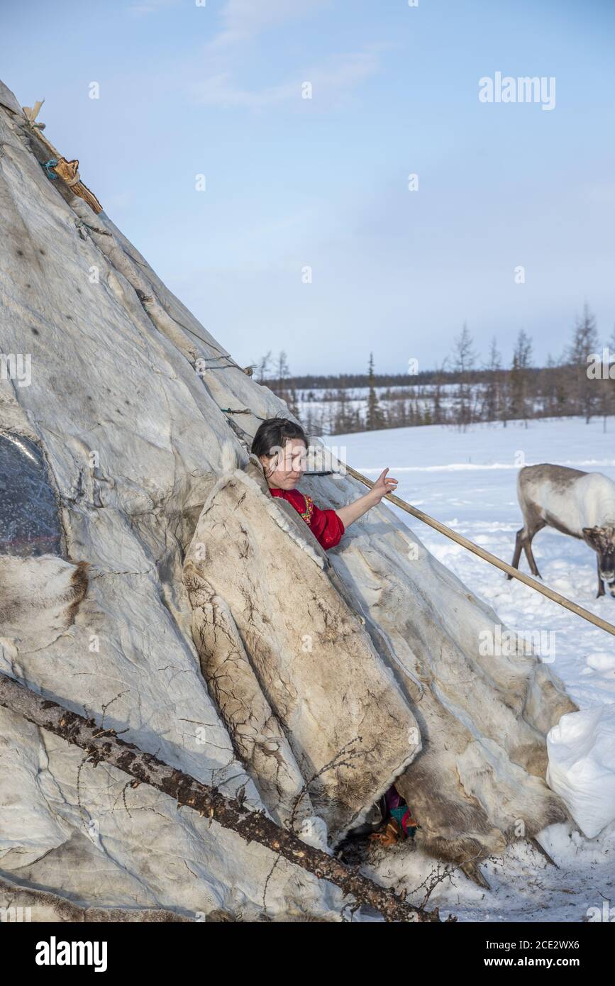 A Nenet young woman peeking out from a chum (traditional tent covedered with reindeer hides), Yamalo-Nenets Autonomous Okrug, Russia Stock Photo