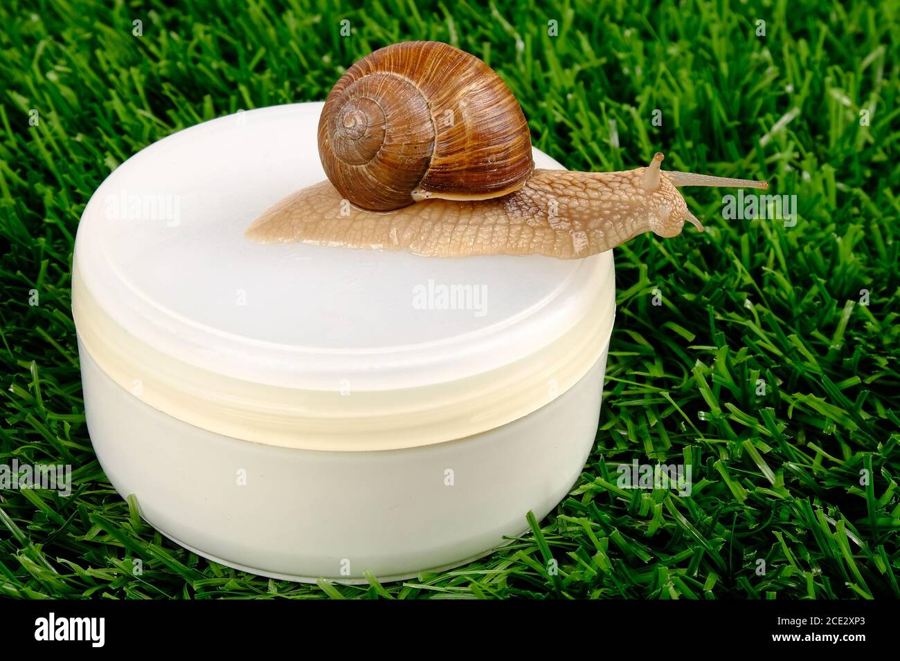 snail cosmetics on green grass, beauty skin care products. Stock Photo