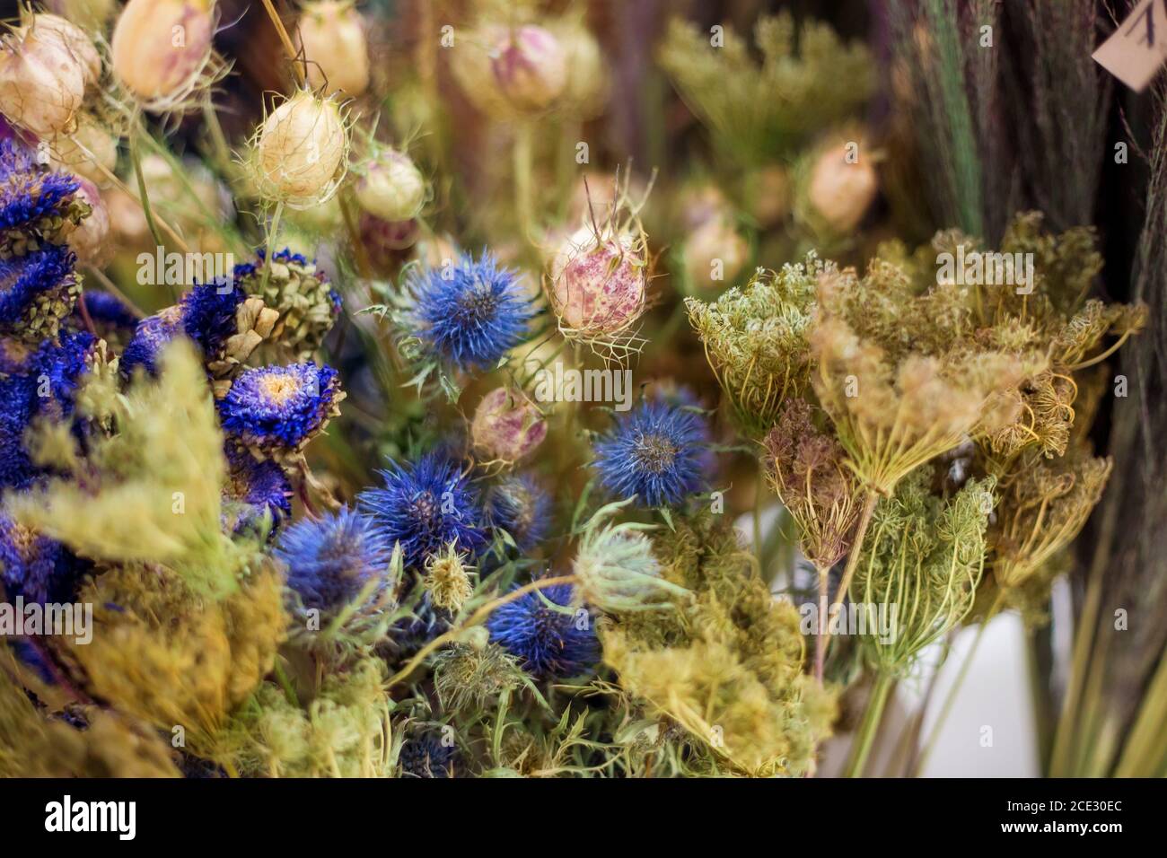 A bouquet of dried meadow plants and flowers for home decoration Stock