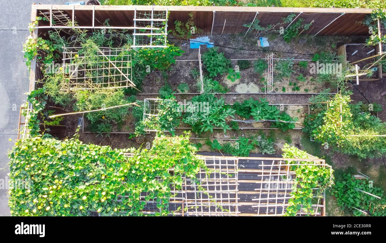 Aerial view roof shingle with Asian backyard garden at residential area
