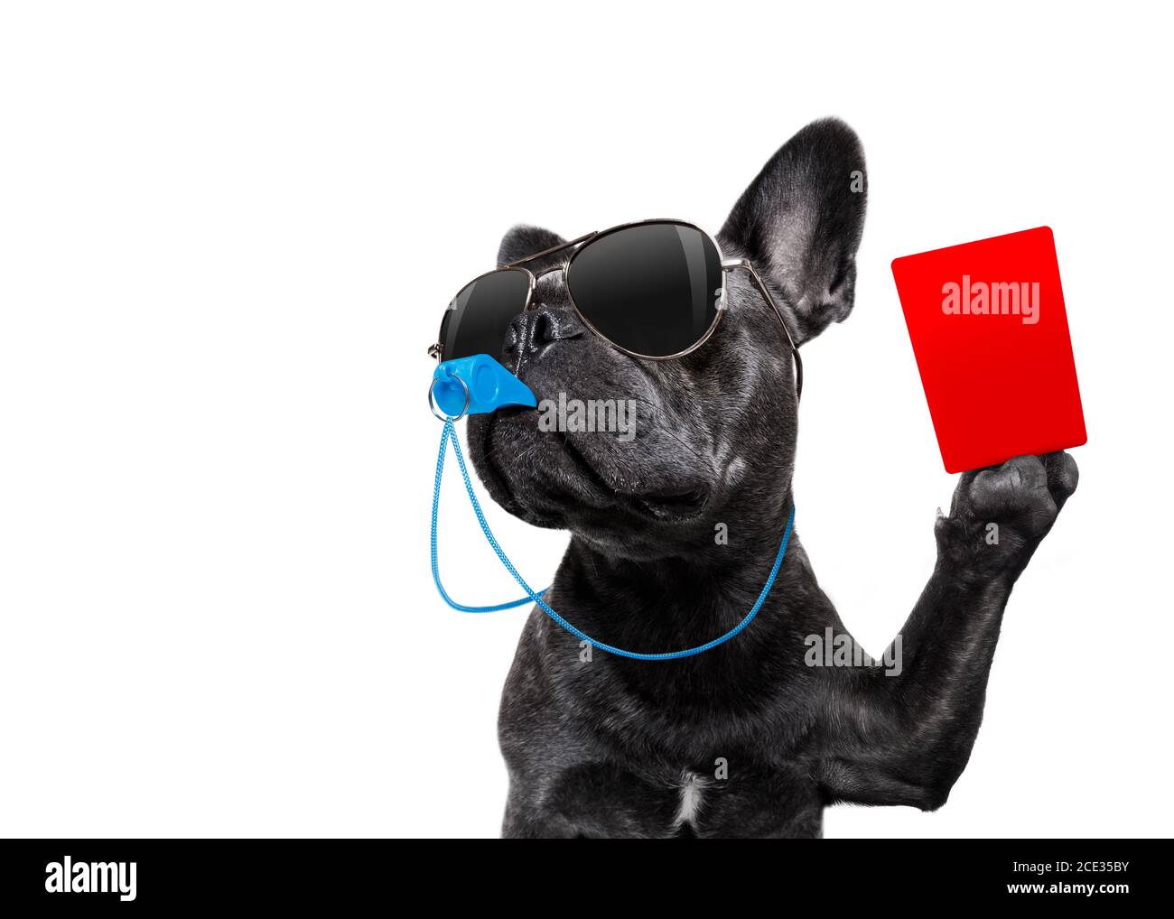 Dog whistle hi-res stock photography and images - Alamy Dog whistle hi-res stock photography and images - Alamy