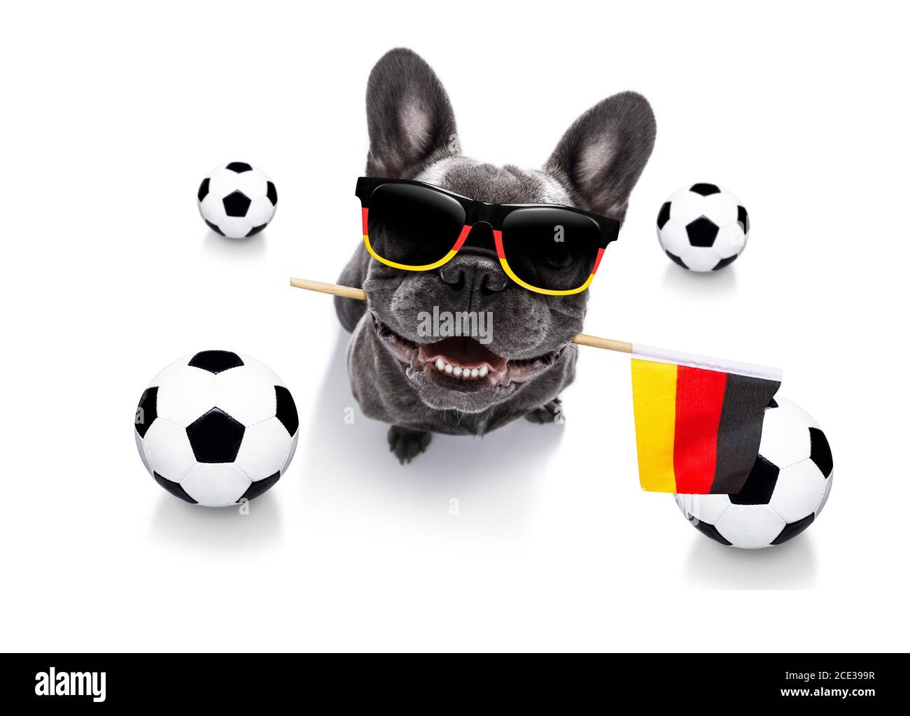 soccer football dog Stock Photo Alamy