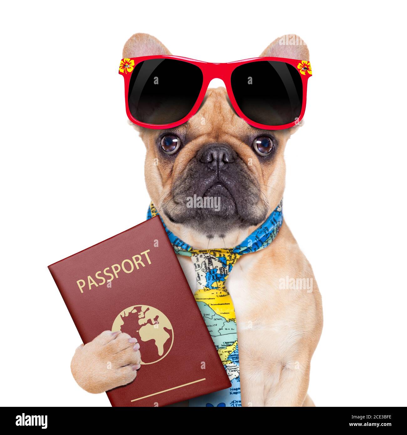 irish dog passport