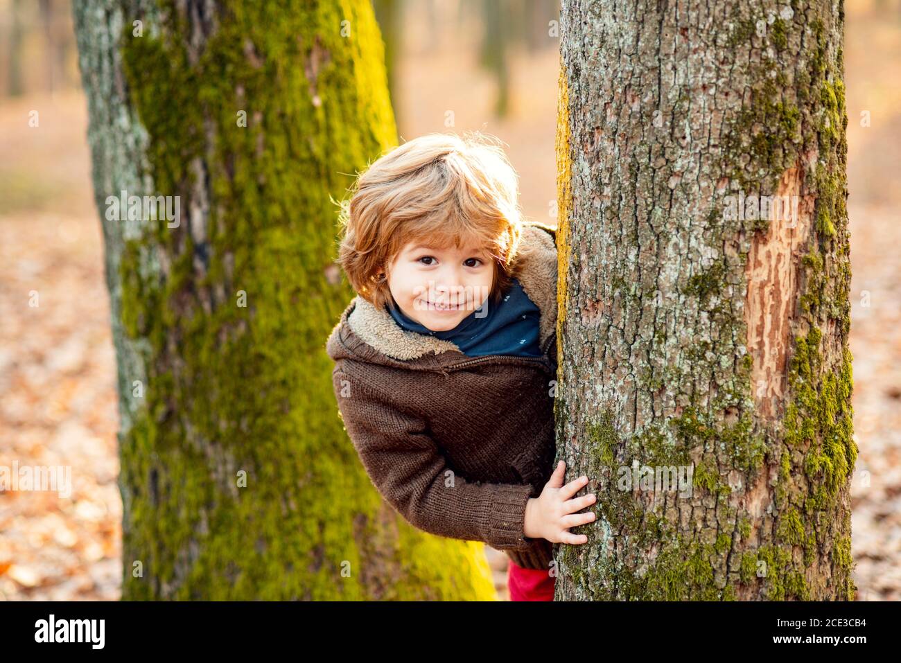 Outdoor autumn kids portrait. Cute little kid boy enjoying climbing on tree. Child in autumnal clothes learning to climb, having fun in forest or park Stock Photo