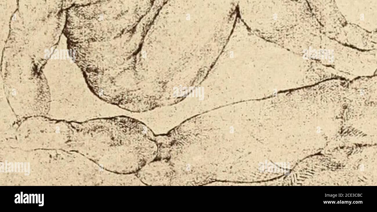 . Art life of William Rimmer, sculptor, painter, and physician / Truman ...