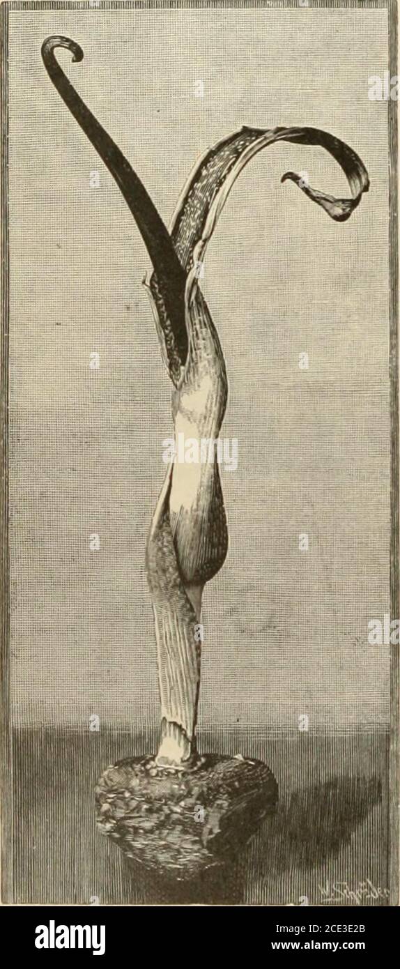 Die Erde High Resolution Stock Photography And Images Page 5 Alamy