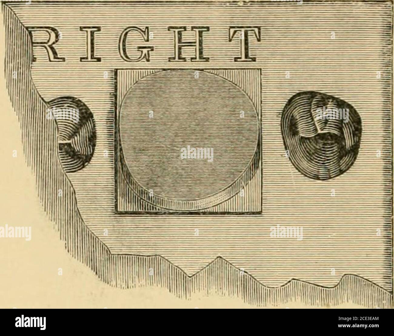 Number plate distorted hires stock photography and images Alamy