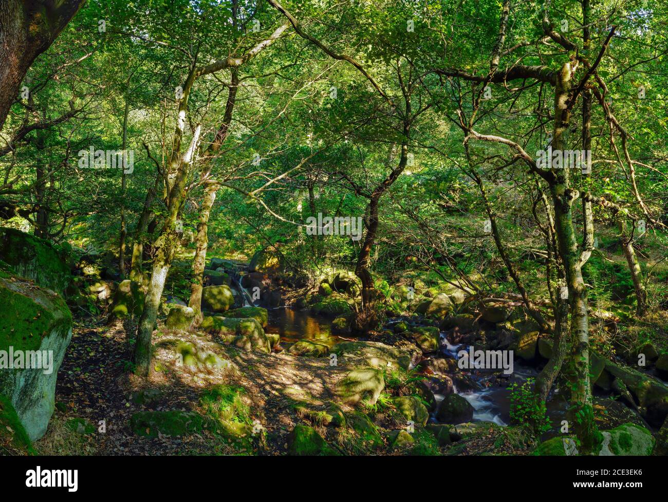 Panoramic shot of Burbage Brook, in Padley ancient woodland near