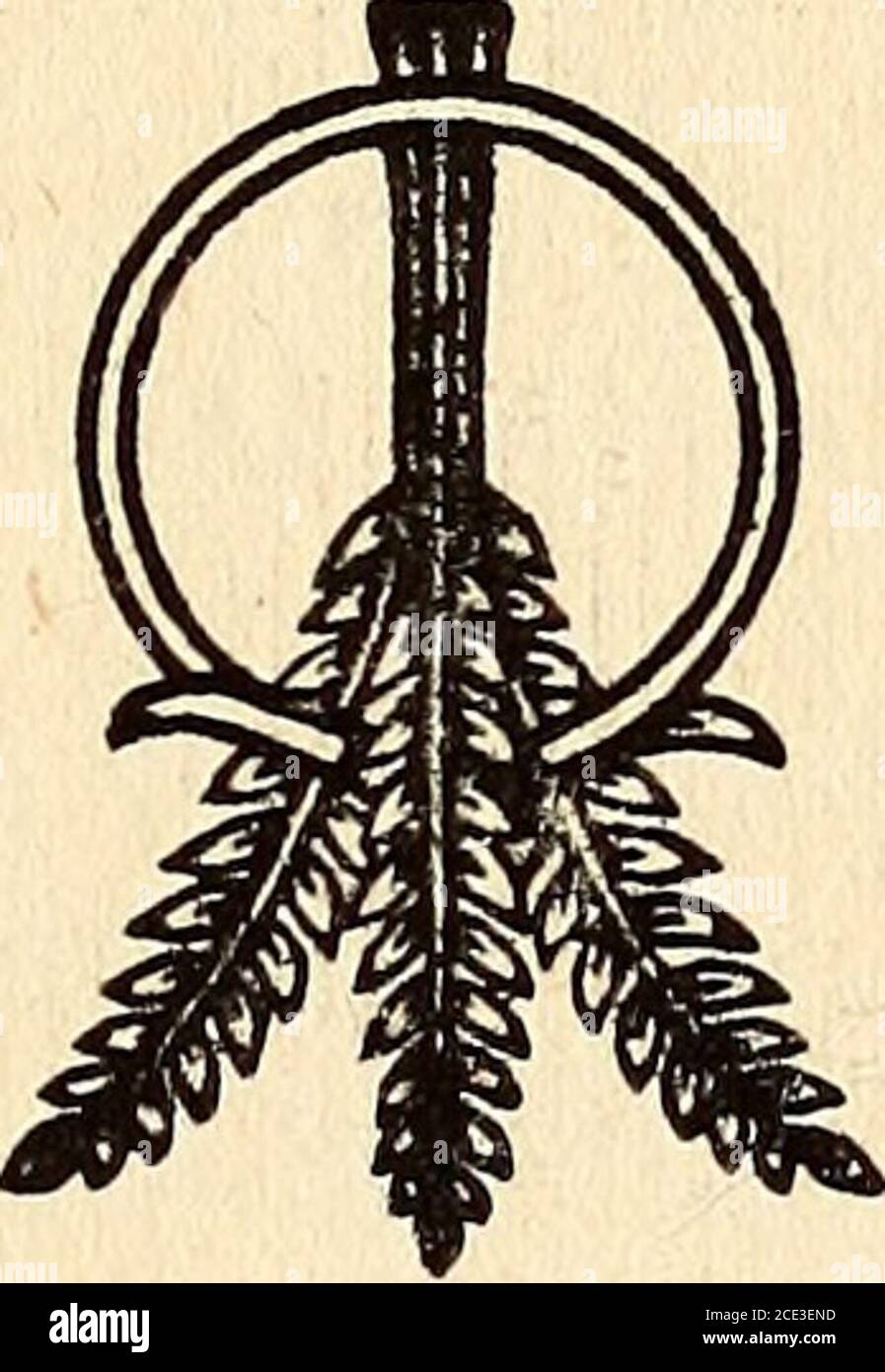 President school bulletin board hires stock photography and images Alamy