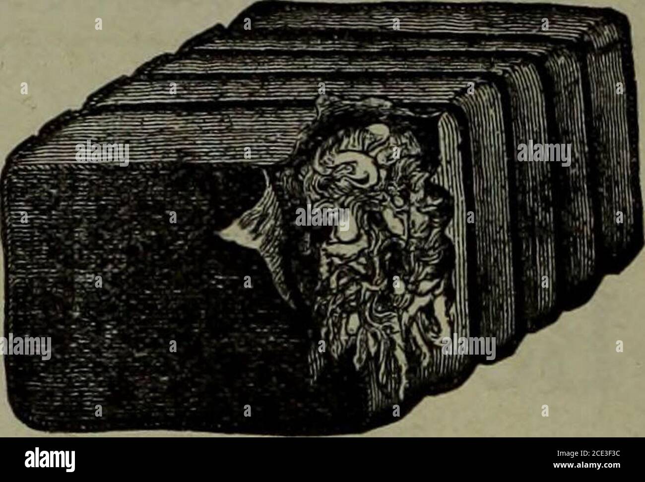 Mallets and irons hires stock photography and images Alamy