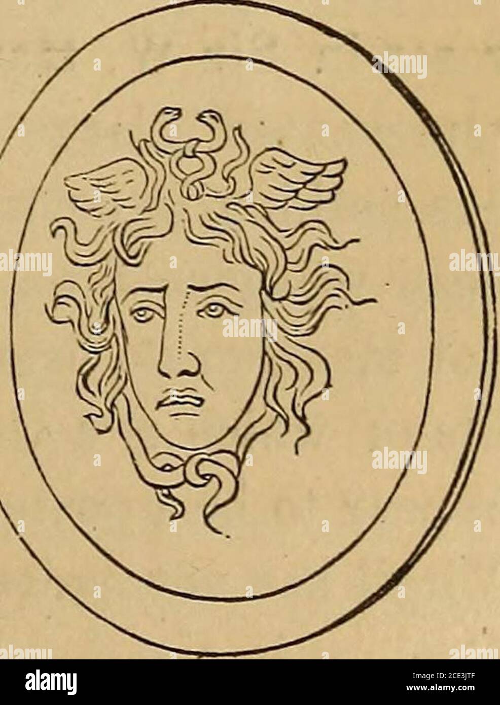Zeus Shield Zeus Shield