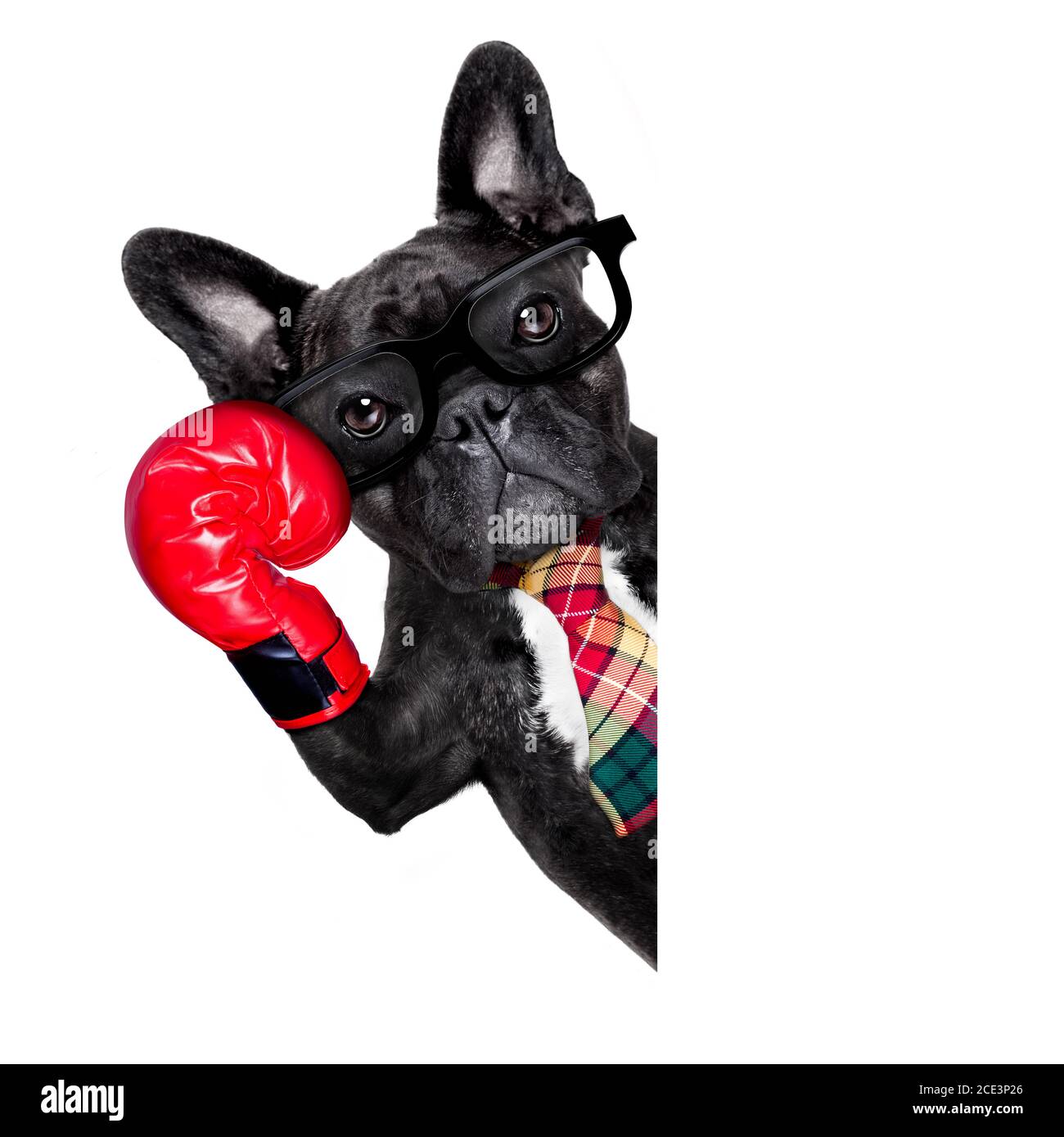French Boxing High Resolution Stock Photography And Images Alamy