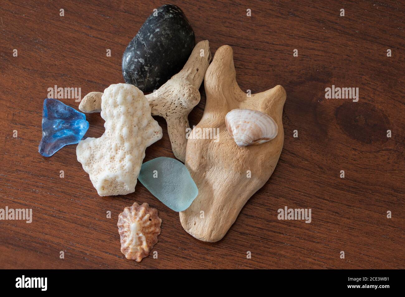 Multi-colred stones and small rocks gathered from the beach in 1934 from  Gott's Island in Maine are shown with contemporary sea shells from  California Stock Photo - Alamy