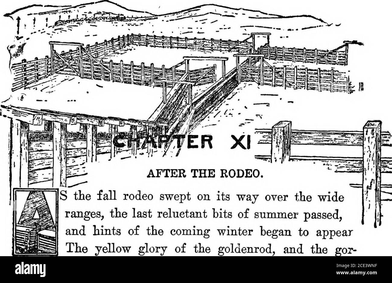 Tufted weed Cut Out Stock Images & Pictures Alamy