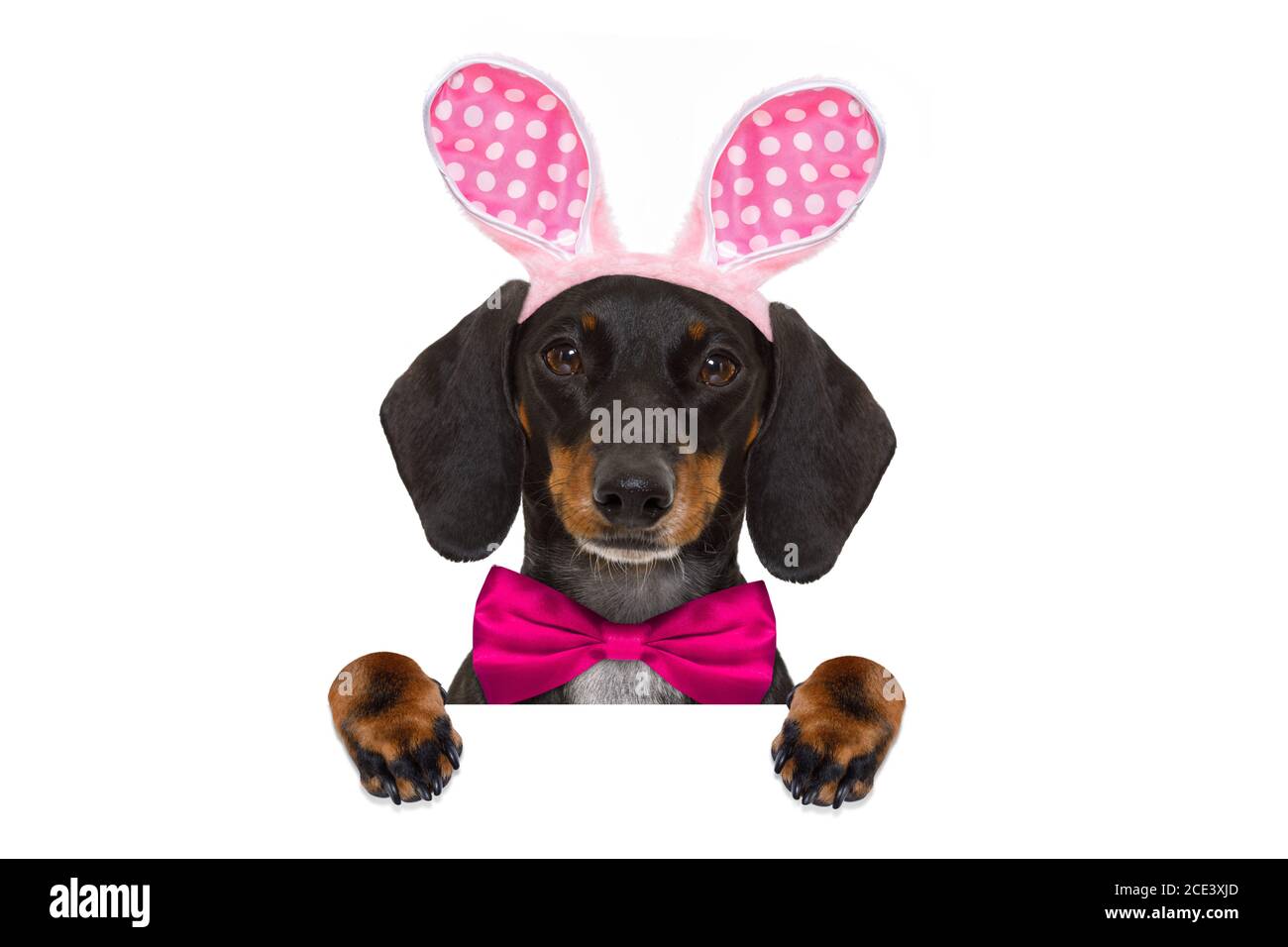 hound dog ears costume