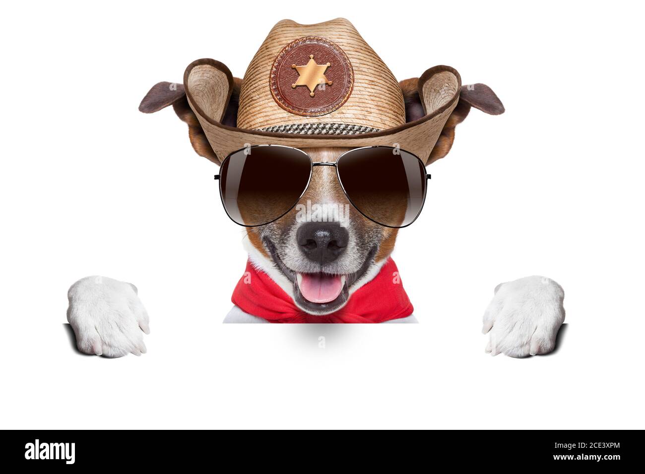 Собака ковбой. Собака в ковбойской шляпе. Пес в ковбойской шляпе арт. Игра собака в ковбойской шляпе. Собачка ковбой в зеленой шляпе.