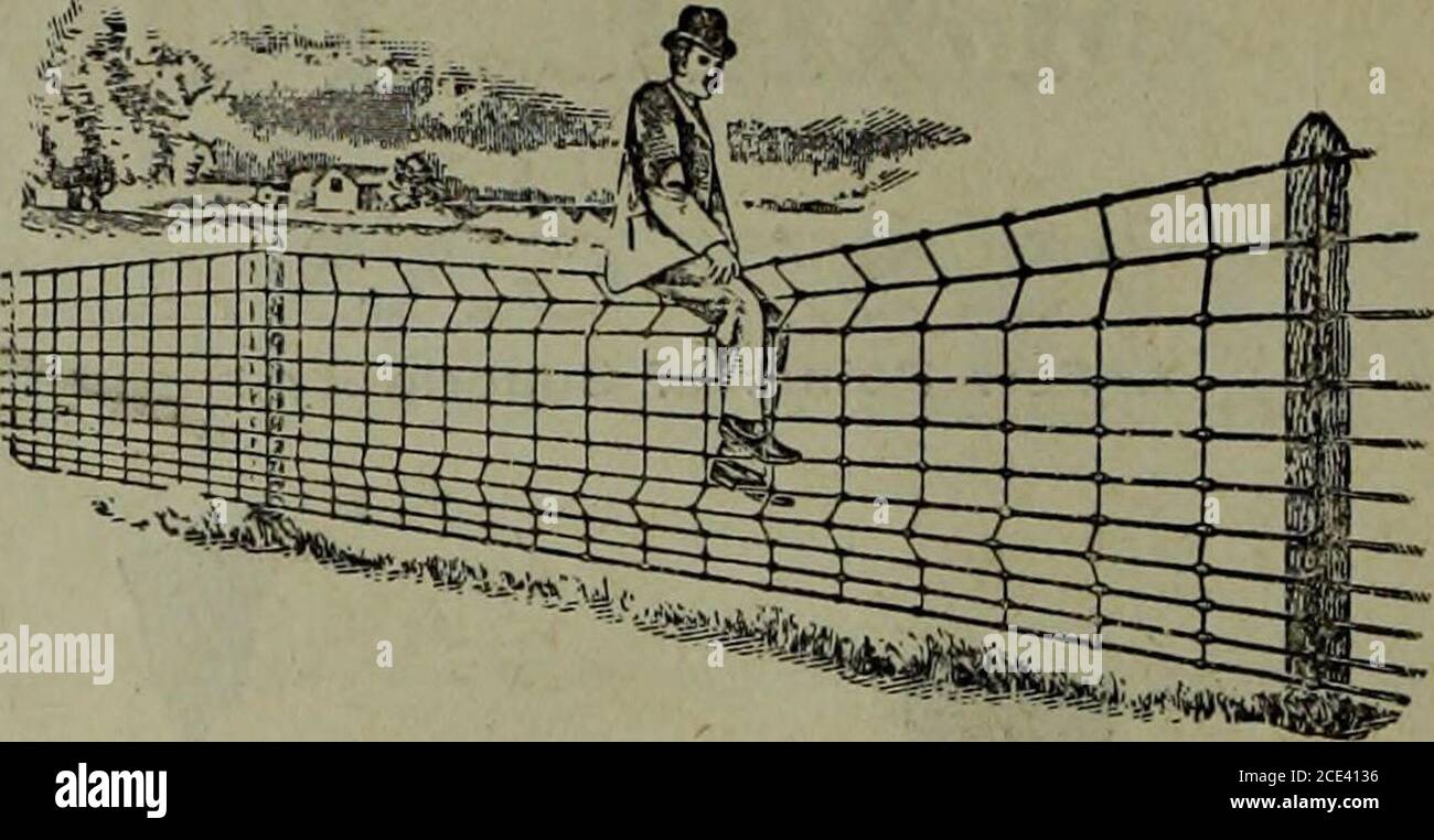 Hardware merchandising (January-March 1908) . The Most Durable Fence is the  easiest fence to sell and the most durablewire fence, beyond all question,  is The Dillon Hinge-Stay Field Fence The upright