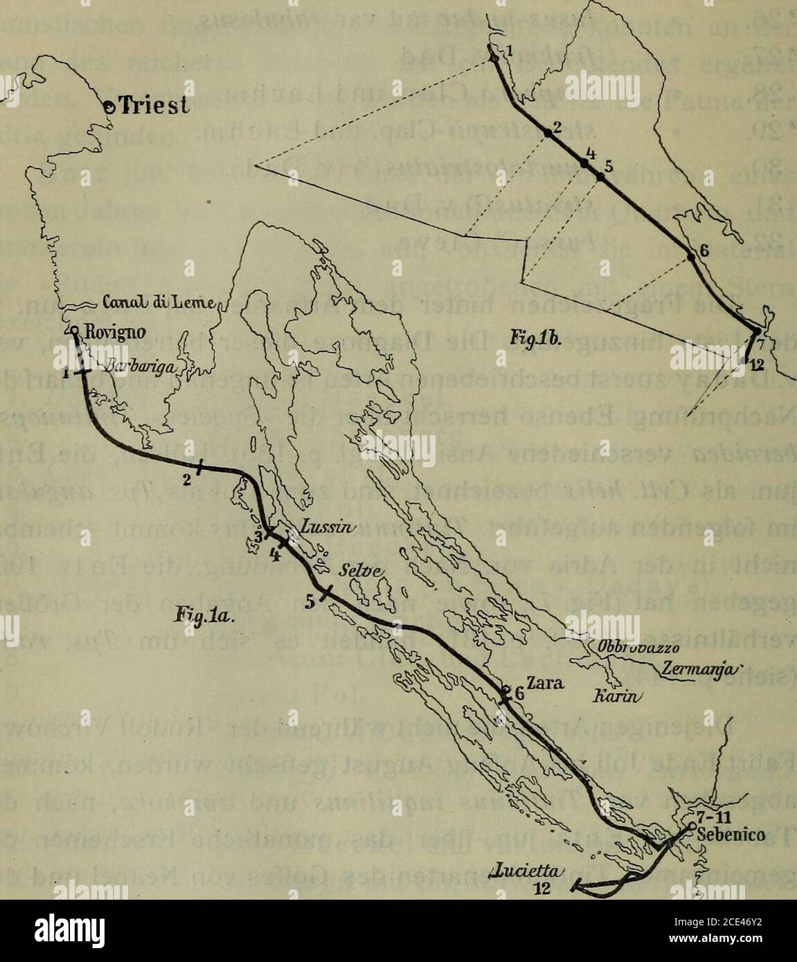 . Sitzungsberichte . ria vor. Nach der Abbildung, die Entz 1904gegeben hat (Fig. 7), sowie nach den Angaben der Größen-verhältnisse (1909, p. 131) handelt es sich um Tps. radix(siehe p. 144). Diejenigen Arten, die nicht während der »Rudolf Vircbow«-Fahrt Ende Juli bis Anfang August gefischt wurden, kommen,abgesehen von Tintinnns inqnilinus und amphora, nach derTabelle, die Entz jun. über das monatliche Erscheinen derv gemeinsamen Tintinnidenarten des Golfes von Neapel und desOuarnero gibt, nicht um die Zeit Juli-August im Plankton vor. Als für die Fauna der Adria neu sind folgende Arten hinzu- Stock Photo