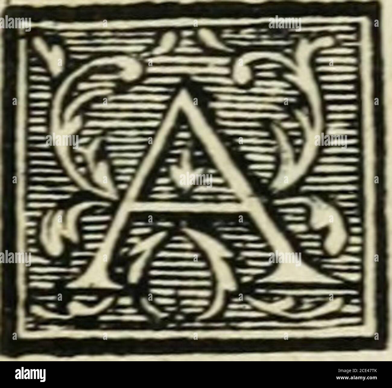 You I High Resolution Stock Photography And Images Page 458 Alamy