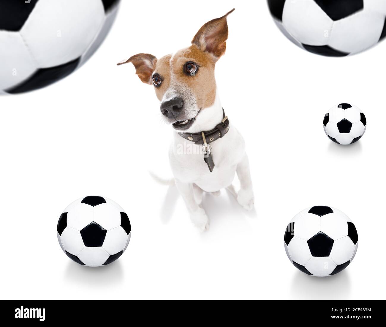 Dog Football Game Day Funny Team Sports Soccer graphic - Football - Magnet