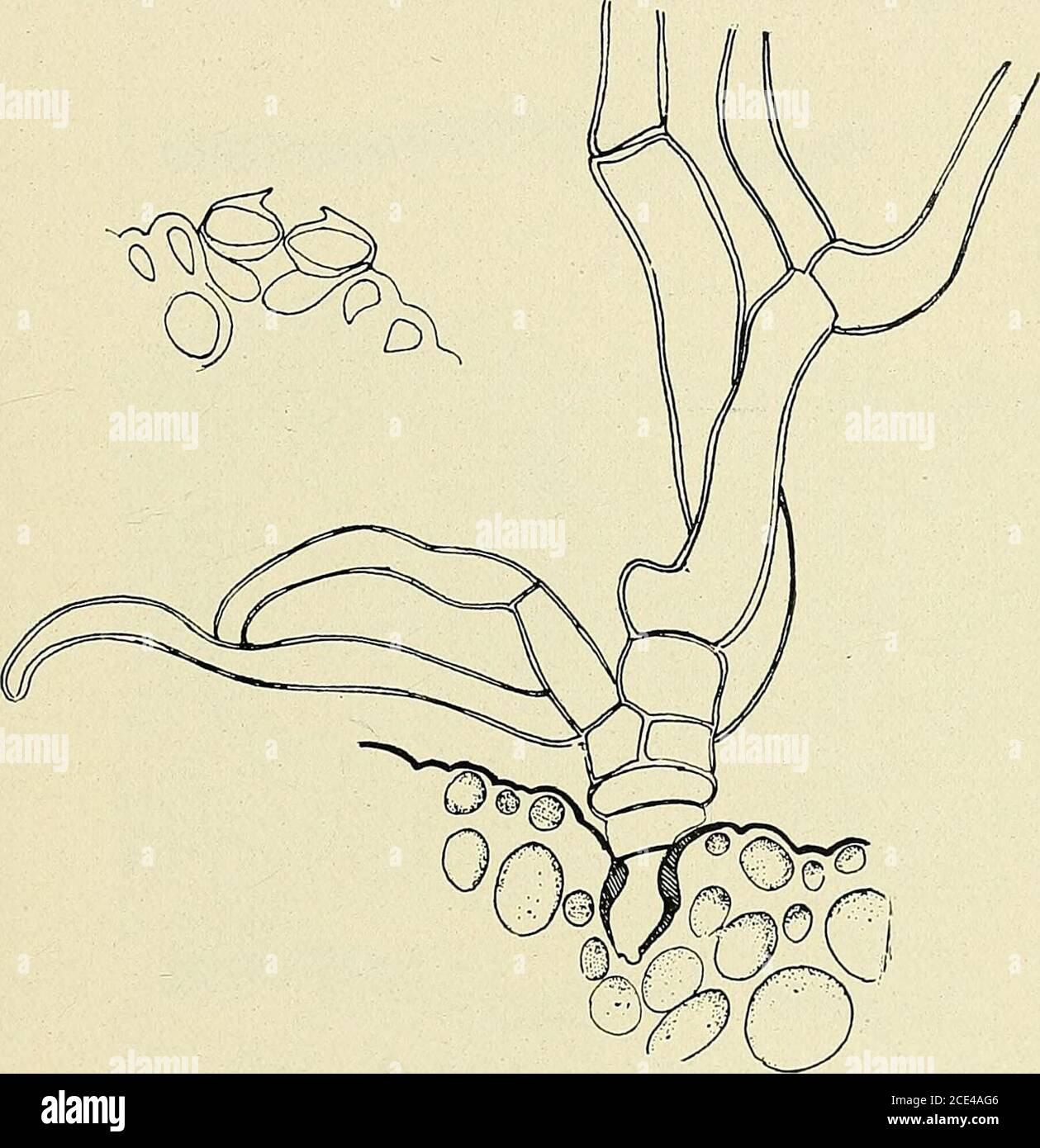 Page 2 Sillons High Resolution Stock Photography And Images Alamy Page 2 Sillons High Resolution Stock Photography And Images Alamy