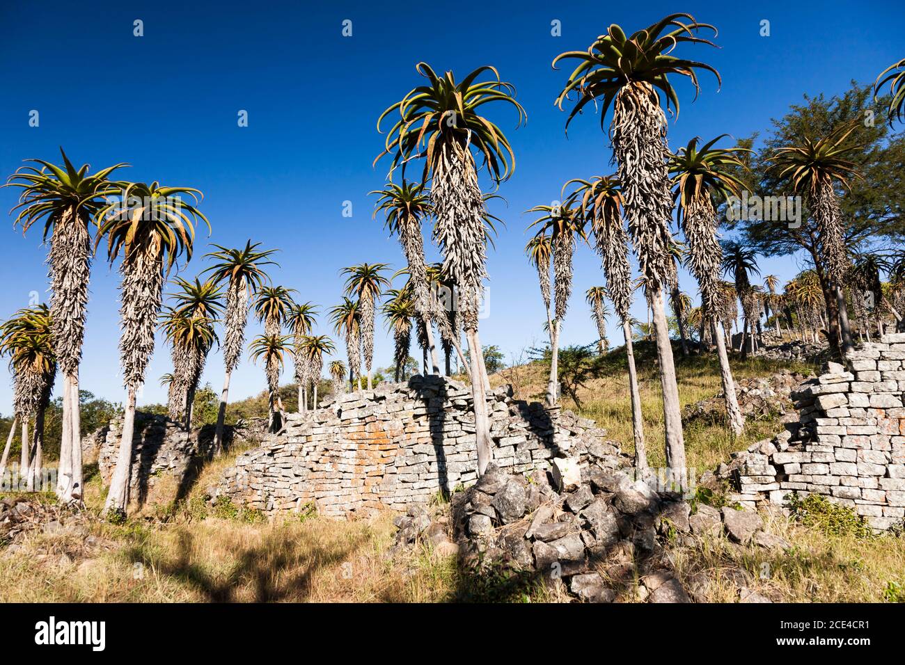 Great Zimbabwe ruins, stone structures of  'The Valley Complex' and aloes, ancient capital of Bantu civilization, Masvingo Province, Zimbabwe, Africa Stock Photo