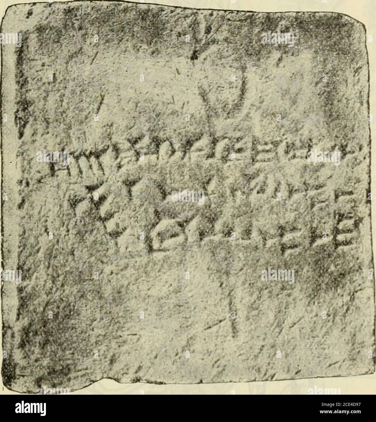 The Student S Bible Containg The Old And New Testaments According To The Version Of The 1911 Bible O Ih Cd Fl C3 G A Ha 3 N Cs 00