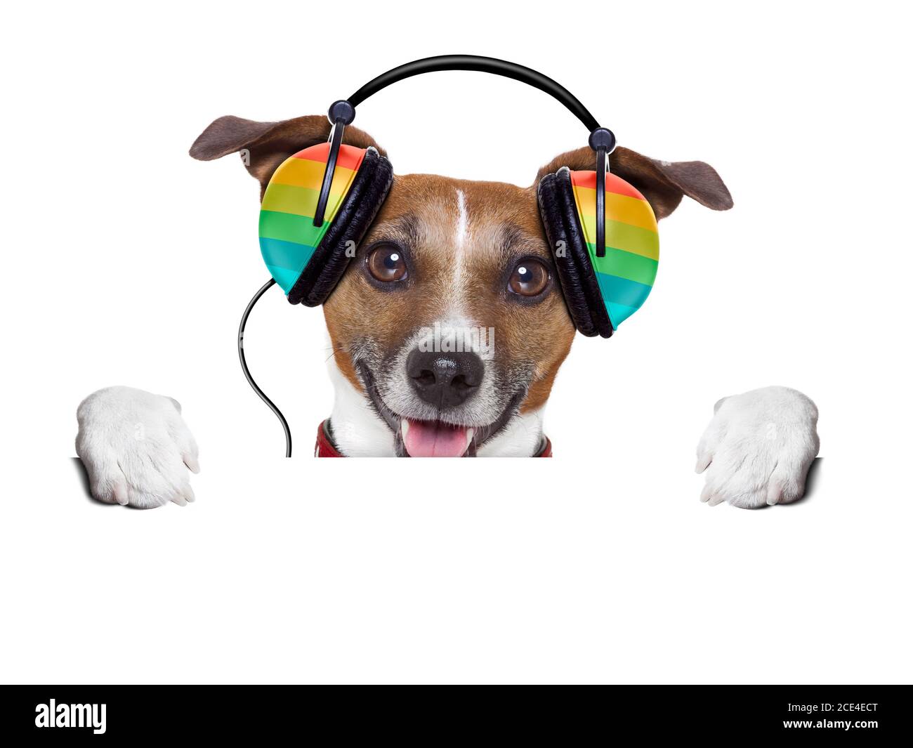 Dog and jockey Cut Out Stock Images & Pictures Alamy