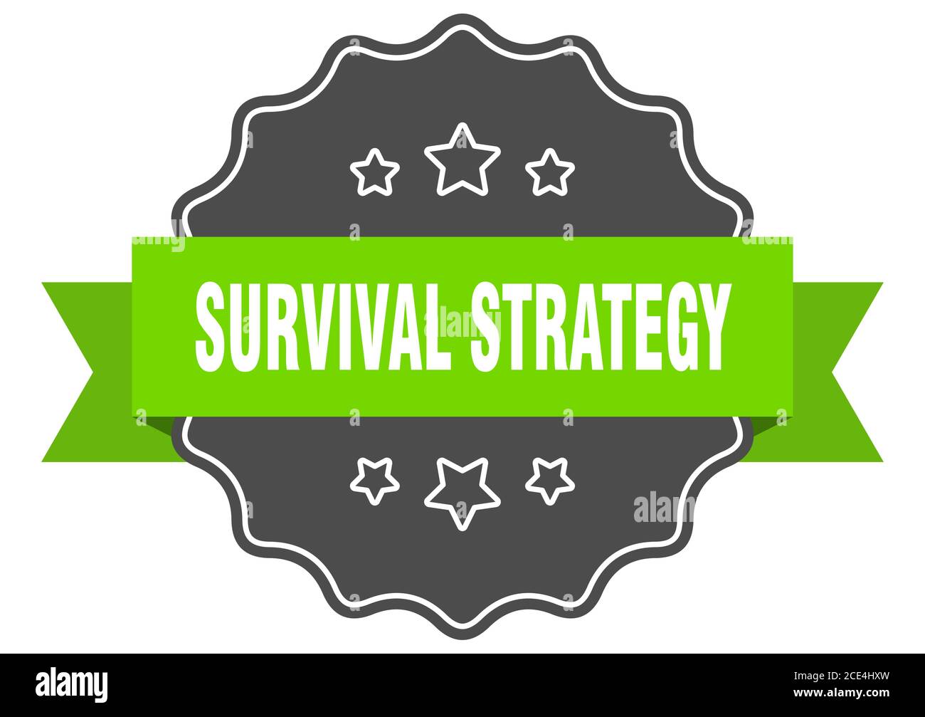 survival strategy label. survival strategy isolated seal. Retro sticker