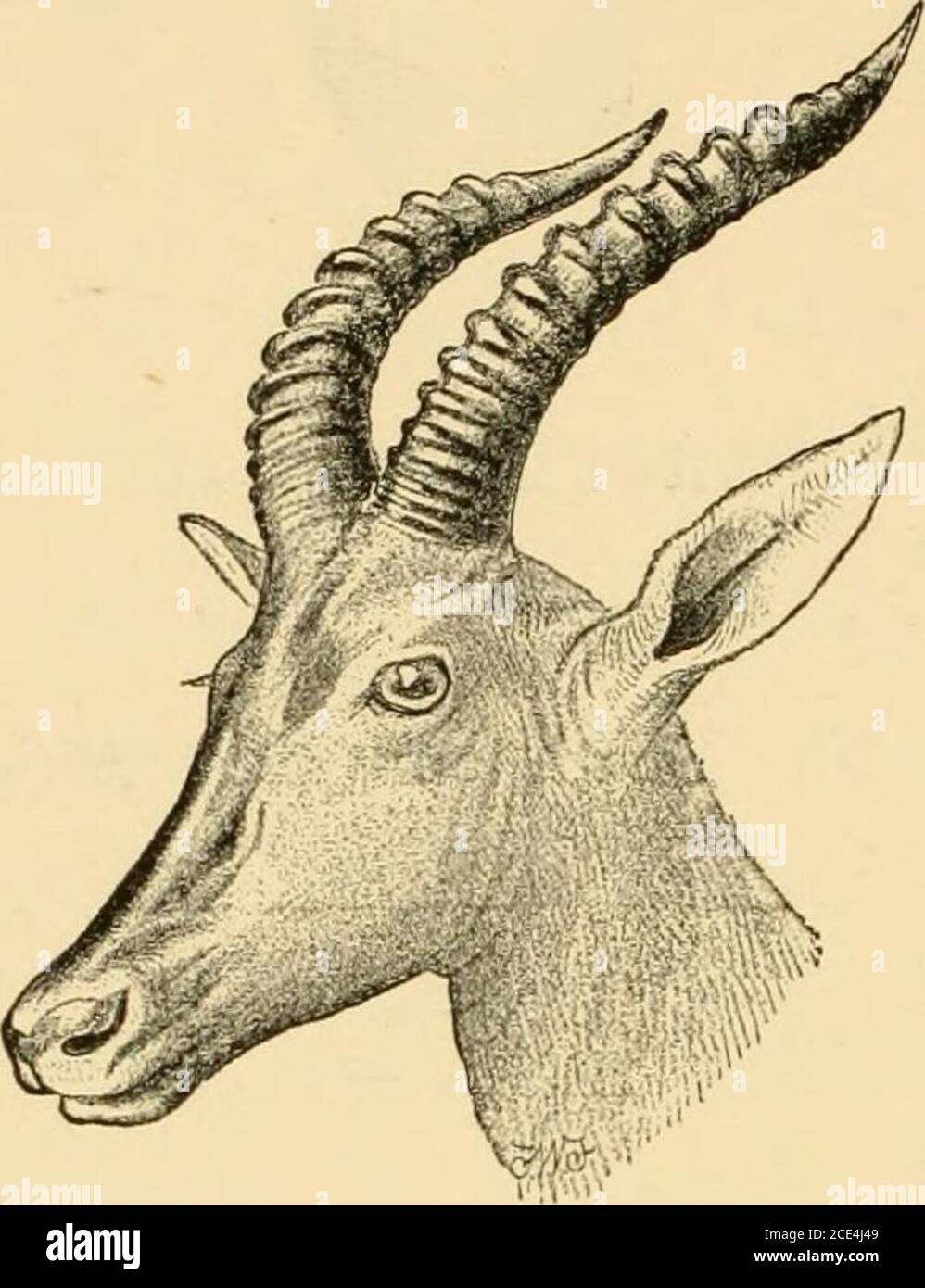 4t Hi Res Stock Photography And Images Page 19 Alamy