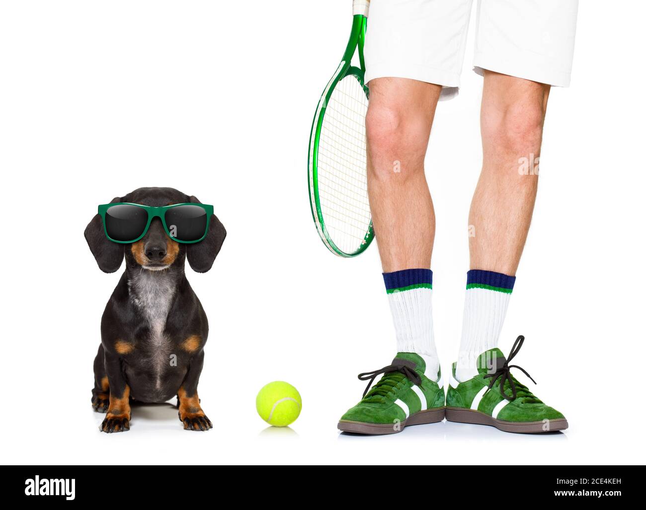 dachshund ball launcher