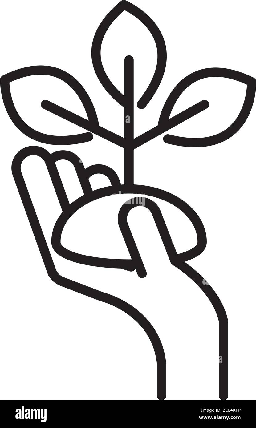 hand holding plant growing, line icon design vector illustration Stock ...