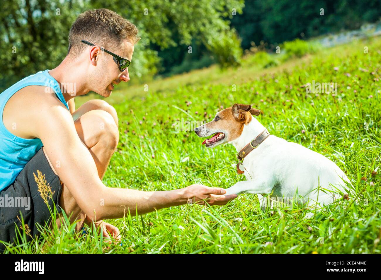 dog and owner training Stock Photo Alamy