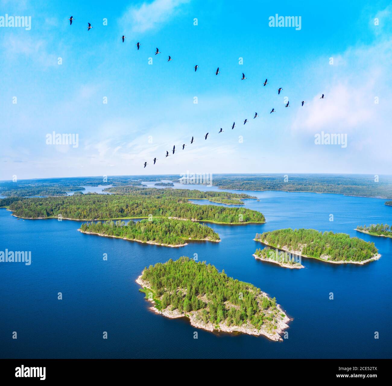 flock of migrating. Birds over beautiful blue lake with islands Stock Photo