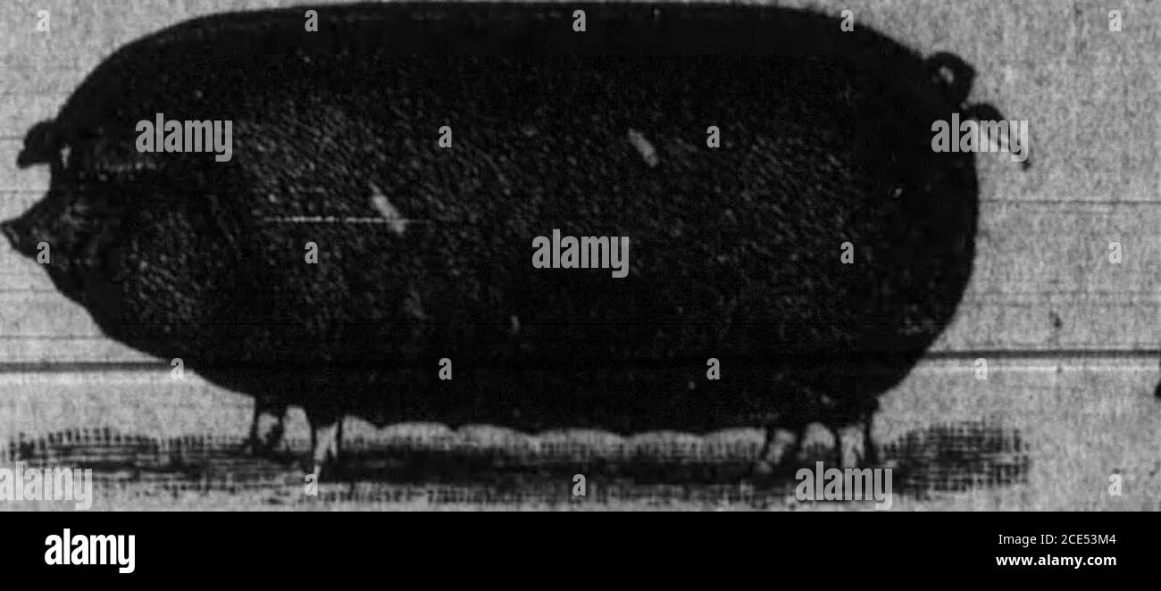 Mk 1 Black And White Stock Photos Images Page 3 Alamy