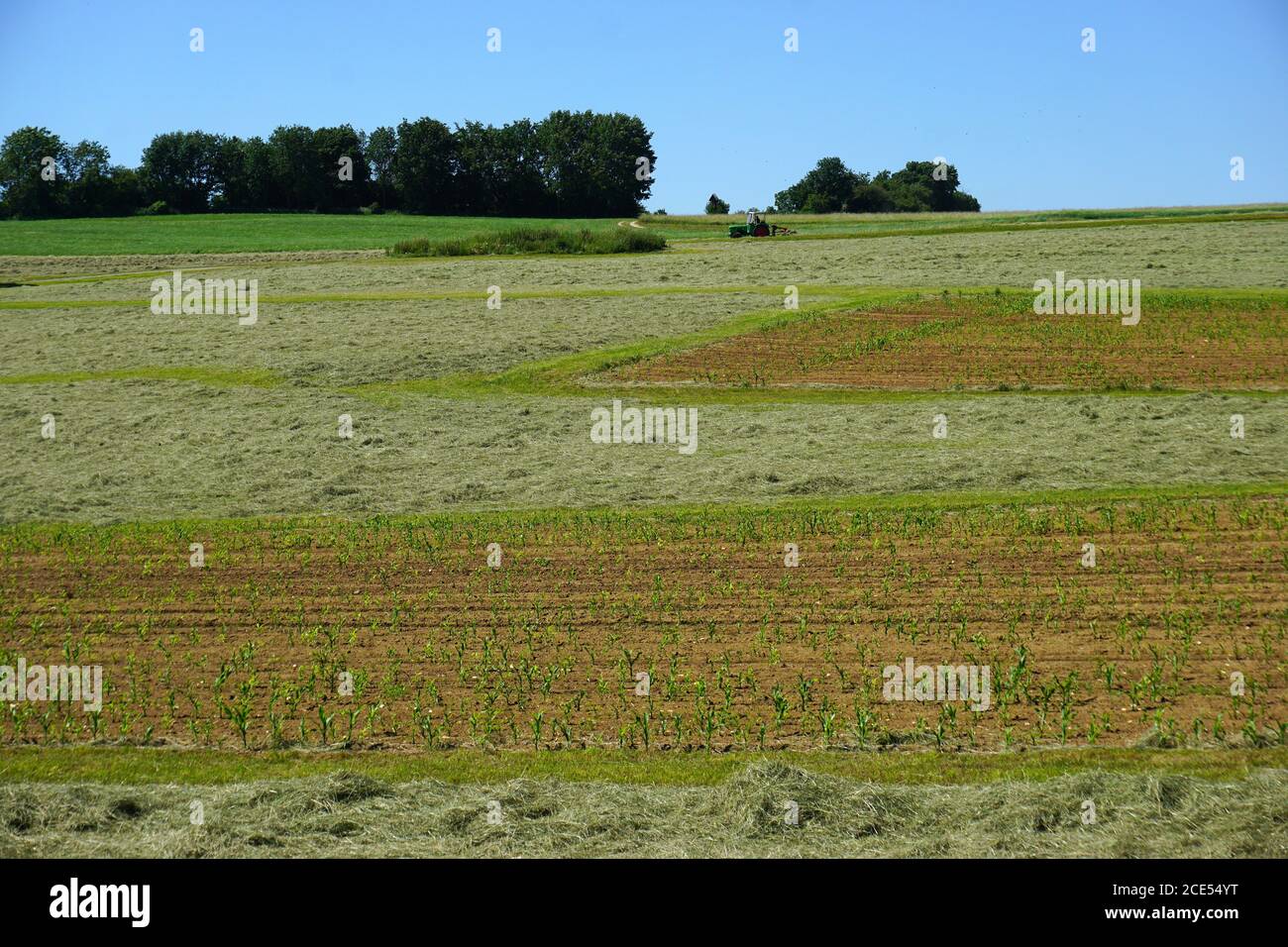 Hay harvest on the Swabian Alb, Germany Stock Photo