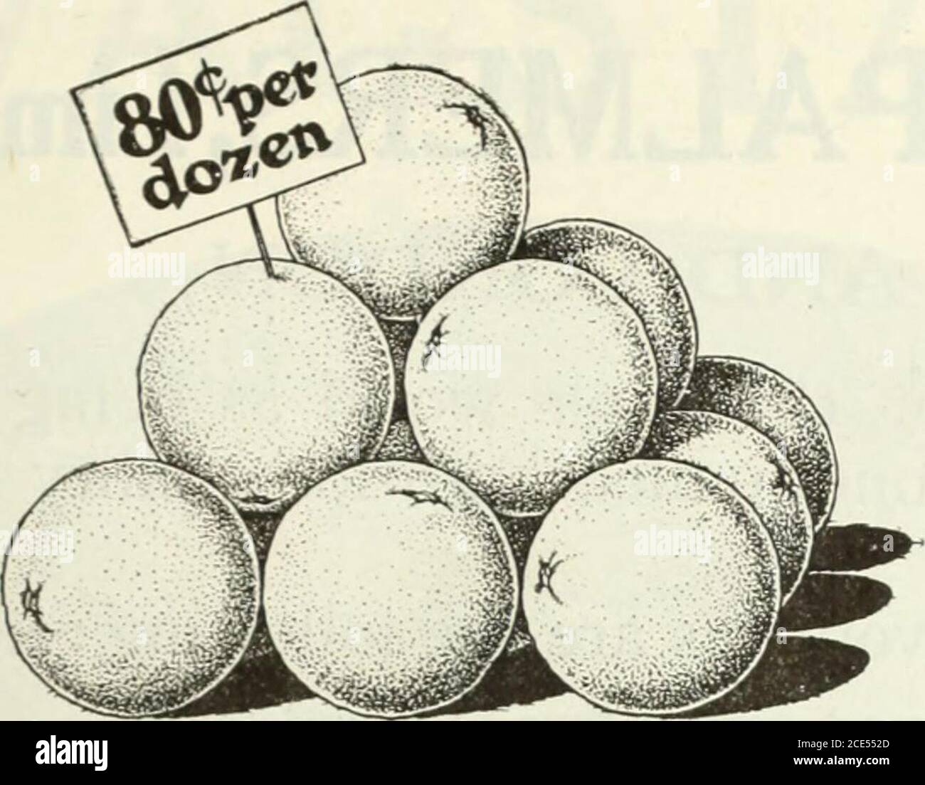 Page 2 Mathieus High Resolution Stock Photography And Images Alamy