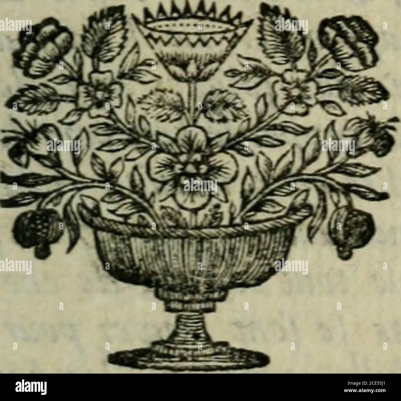 Page 11 Mari R High Resolution Stock Photography And Images Alamy