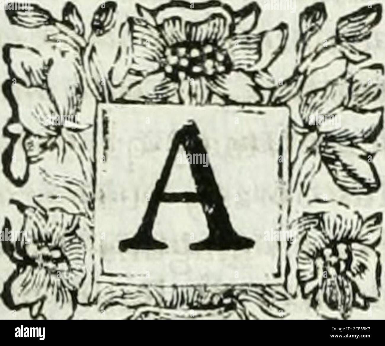 Iitar Ojos indios hi-res stock photography and images - Alamy