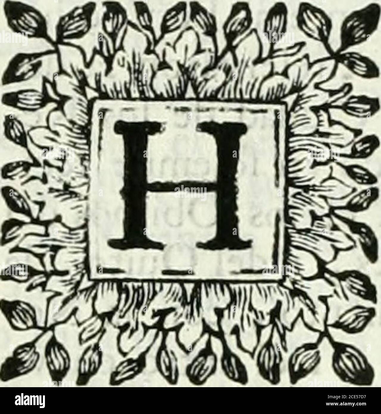 Oi ti hi-res stock photography and images - Page 8 - Alamy