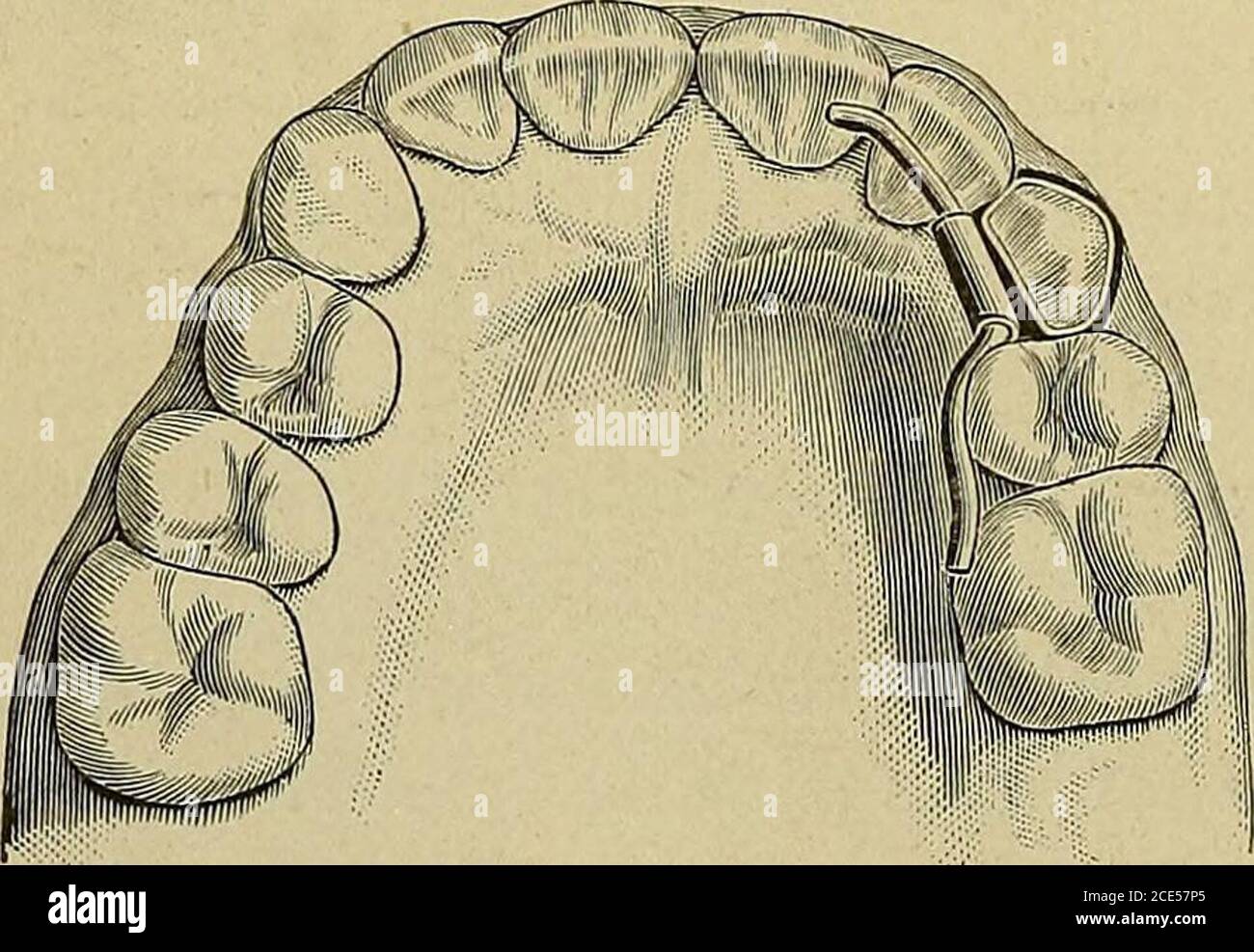 Bookidorthodontiaormal00guil hi-res stock photography and images - Alamy
