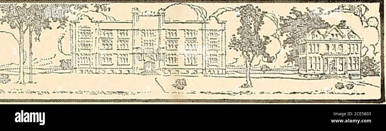 Bizarre . MEMBERS. L. A. RoDES President Paul J. Bowman Vice-President  Florence C. Mentz . . . . ?. Secretary Reuben Willlams .......... Treasurer  H. H. Charlton J. M. Leister Russell