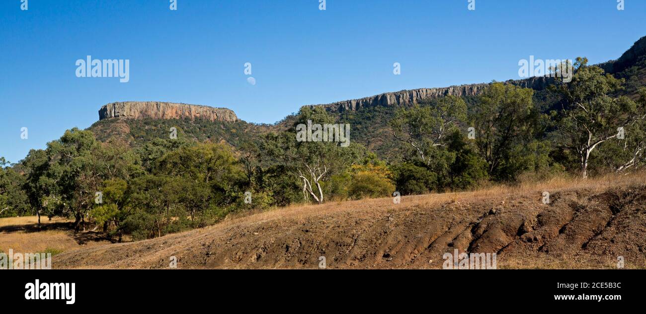 Panoramic view of Lords Table Mountain in Peak Range National Park rising into blue sky with foreground cloaked in trees in outback  Australia Stock Photo