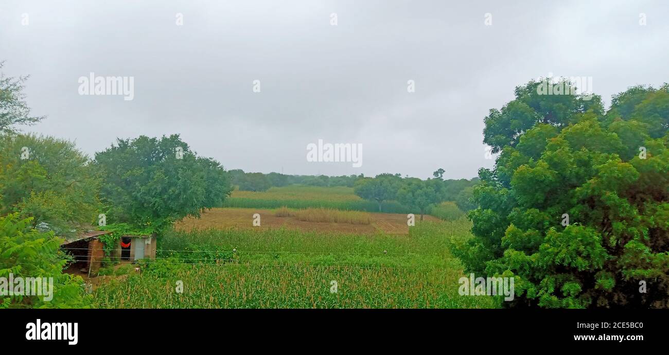 Beautiful indian village hi-res stock photography and images - Alamy