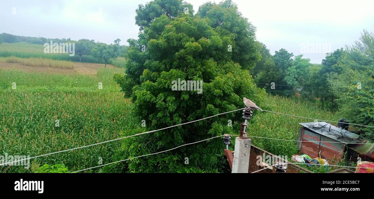 Beautiful indian village hi-res stock photography and images - Alamy
