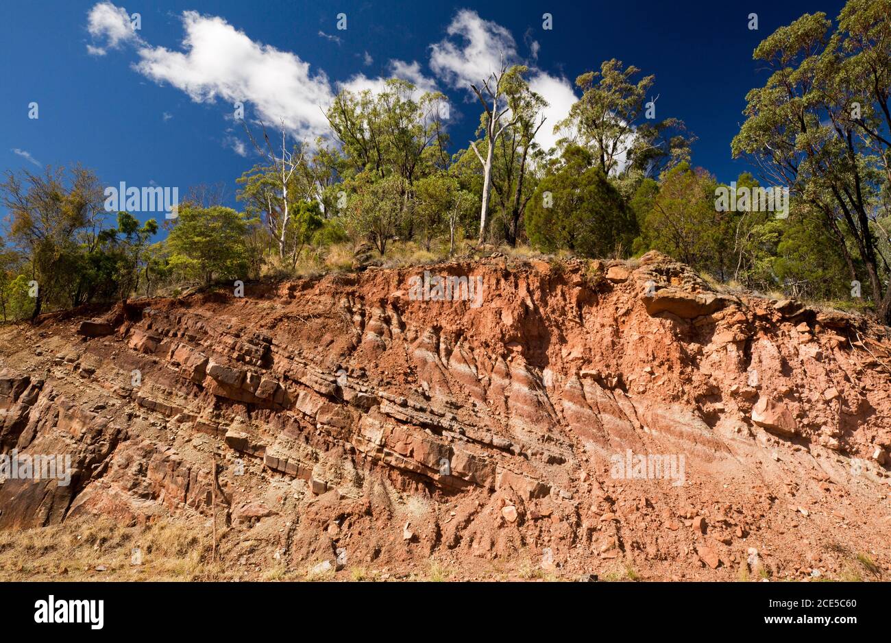 Varied strata of colourful red soils at roadside cutting with bank topped with trees in Australia Stock Photo